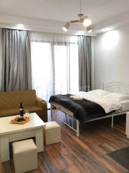 آپارتمان 33 متر مربع - شالوا ایناساریدزه, Batumi, گرجستان