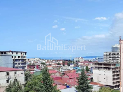 آپارتمان 70 متر مربع - الکساندرا پوشکین, Batumi, گرجستان