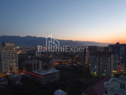 آپارتمان 33 متر مربع - شالوا ایناساریدزه, Batumi, گرجستان