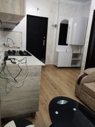 آپارتمان 29 متر مربع - شالوا ایناساریدزه, Batumi, گرجستان