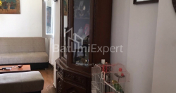 آپارتمان 52 متر مربع - دیوید آگماشنبلی, Batumi, گرجستان