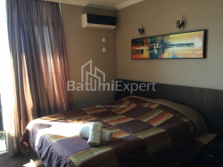 آپارتمان 25 متر مربع - یوسف کوبالادزه, Batumi, گرجستان