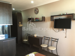 آپارتمان 25 متر مربع - یوسف کوبالادزه, Batumi, گرجستان